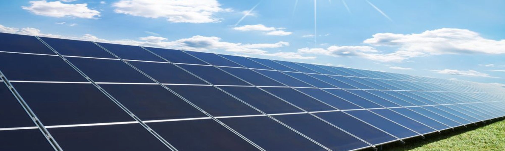 There live the blind texts